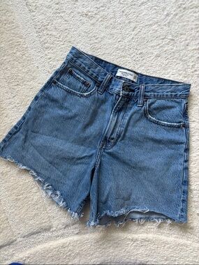 Abercrombie & Fitch Loose Short High Rise